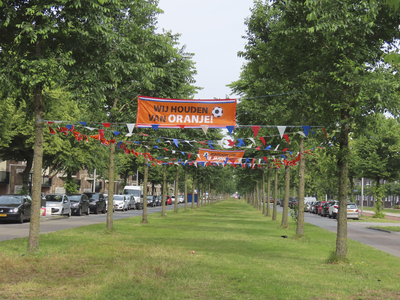 901867 Gezicht over de met oranje en rood-wit-blauwe vlaggetjes versierde groenstrook in de Burgemeester Norbruislaan ...